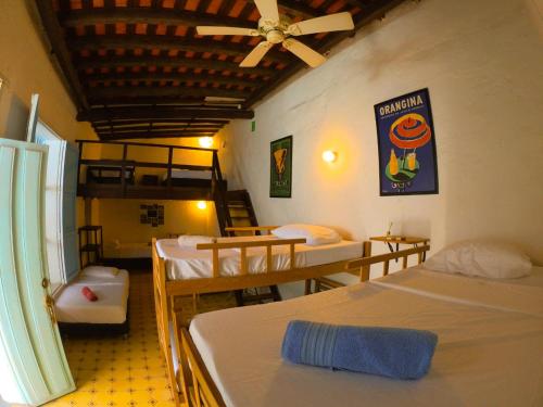 Cama en habitación compartida / Dorm bed
